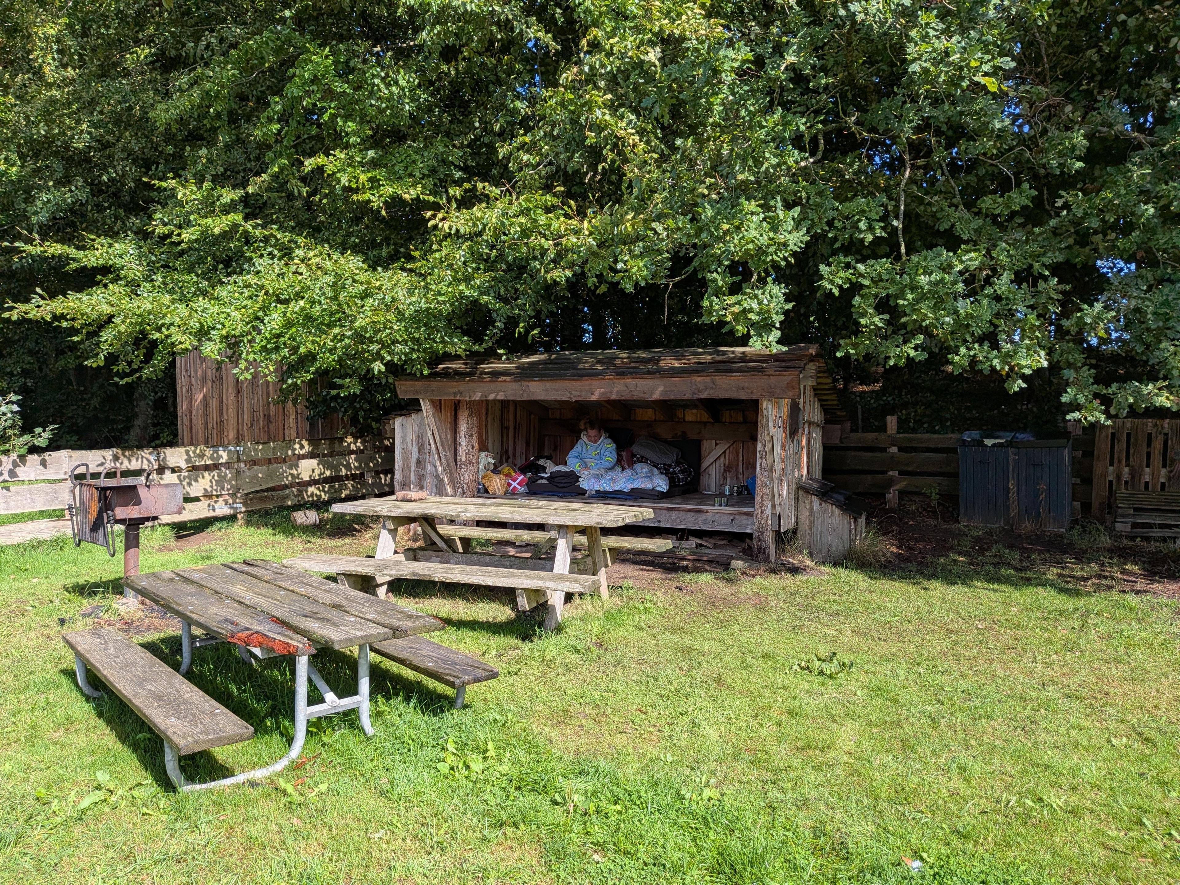 Billede delt fra Jordhuleshelter i Hatting Parken