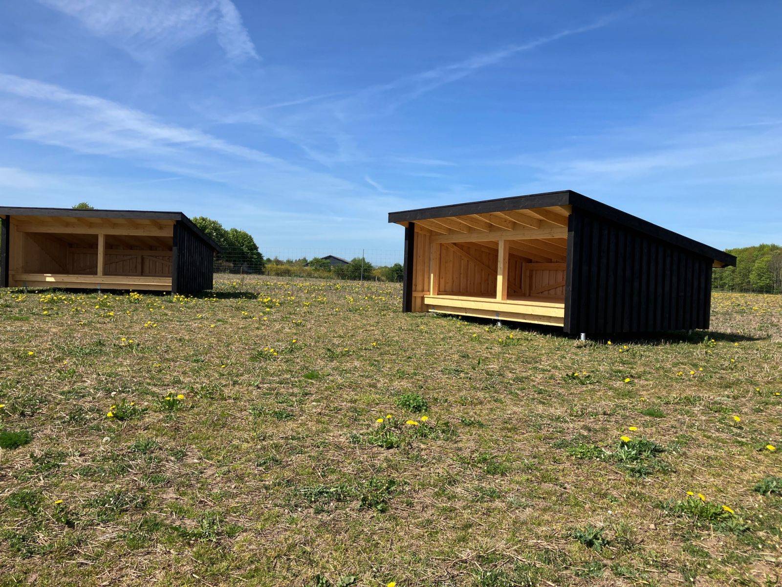 Billede af shelter Nordskoven Shelterplads