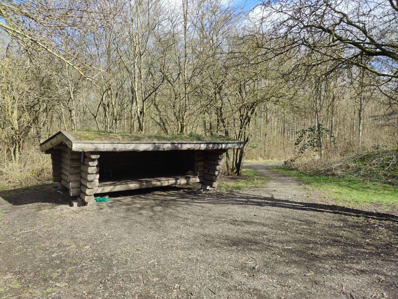 Billede af shelter Shelter i Mollerup Skov