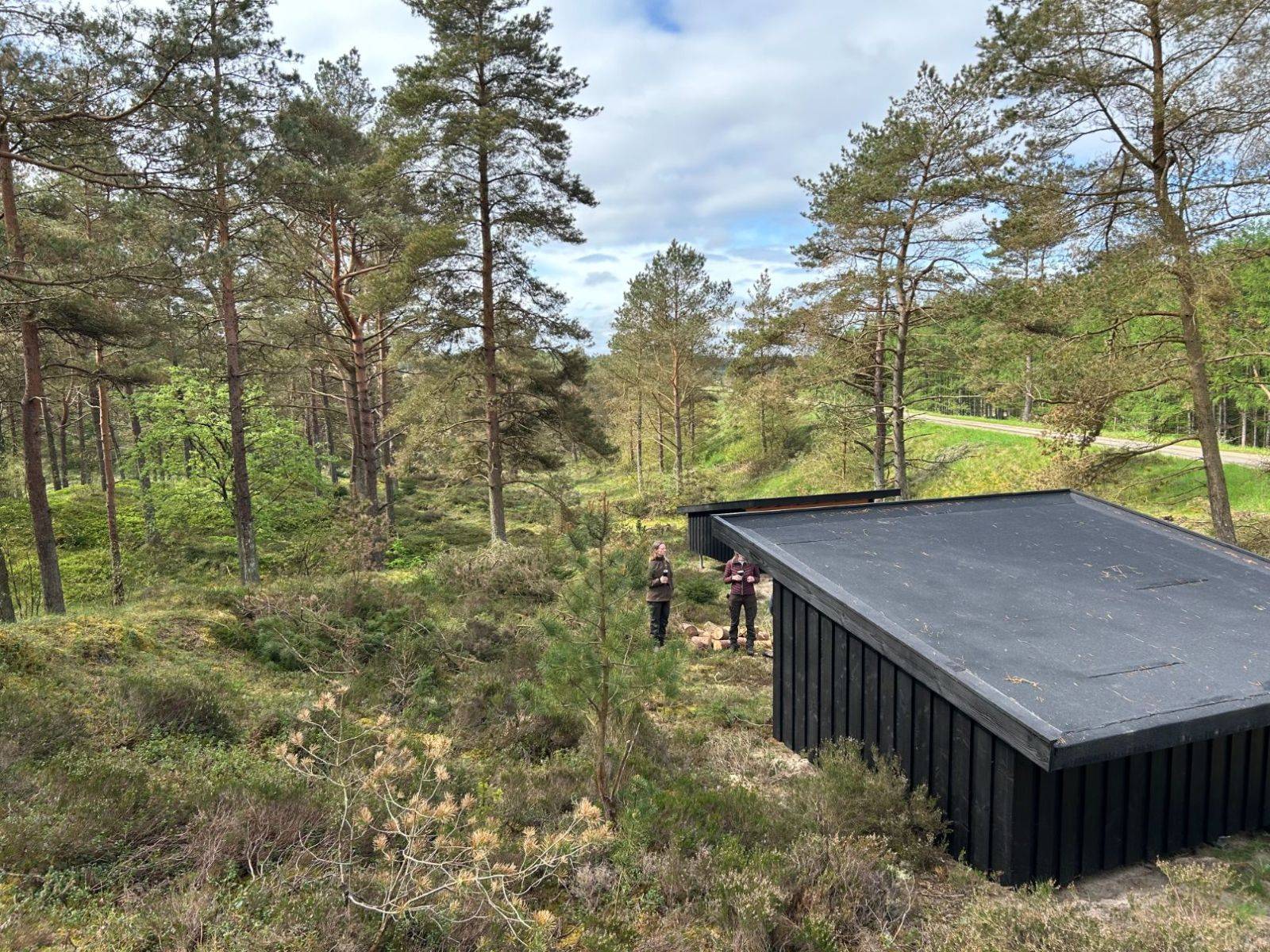 Billede af shelter Gludsted Plantage, Den Skæve Bane - shelter 1 – billede 3