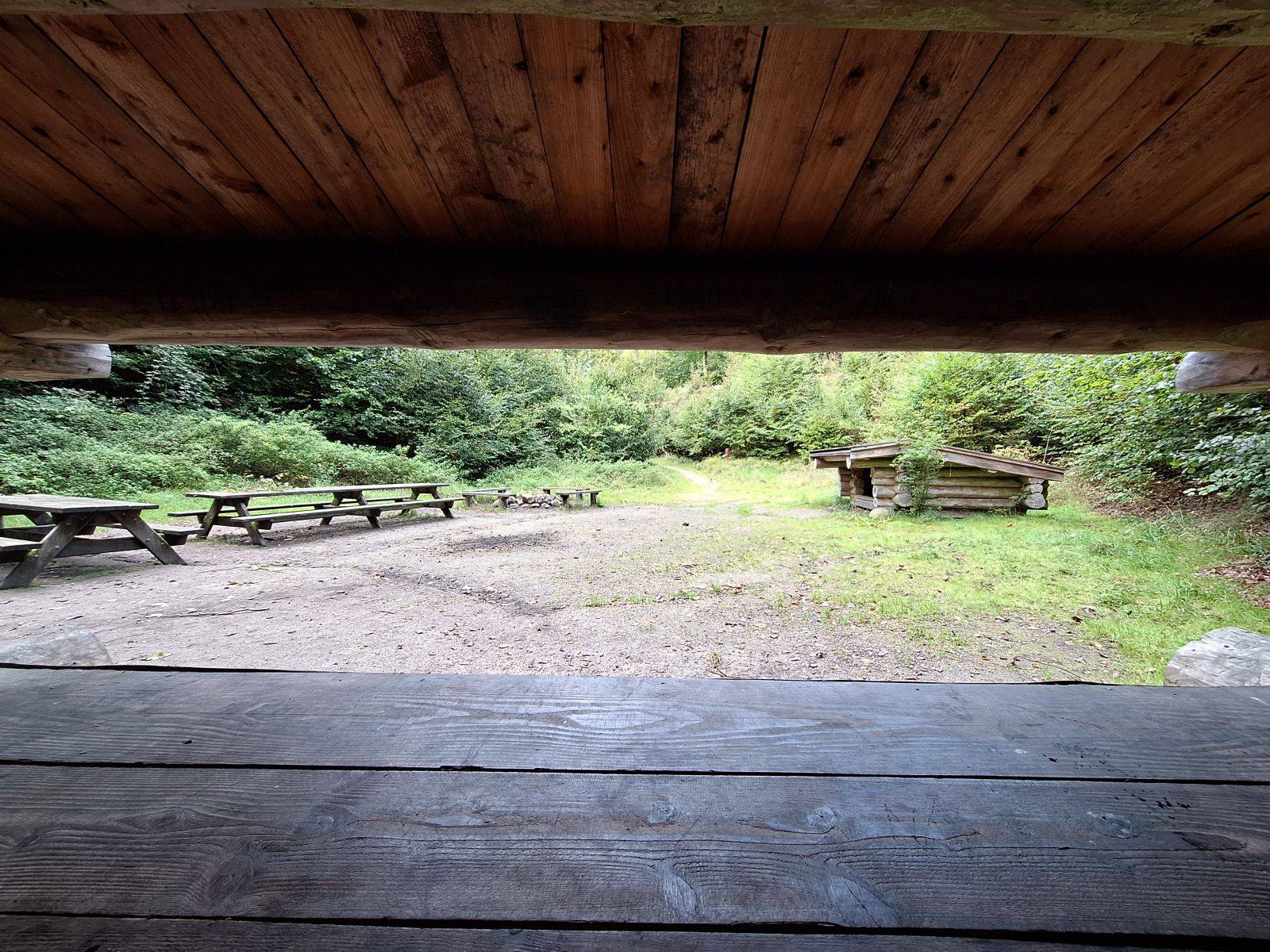 Billede af shelter Gribskov, Helledes Bakke – billede 4