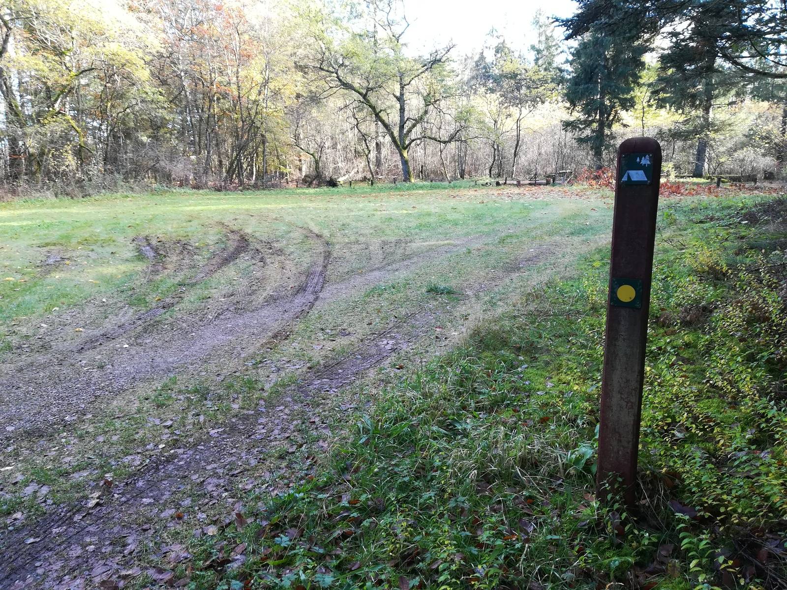 Billede af shelter Primitiv overnatningsplads med shelter ved Urhanevej i Kompedal Plantage