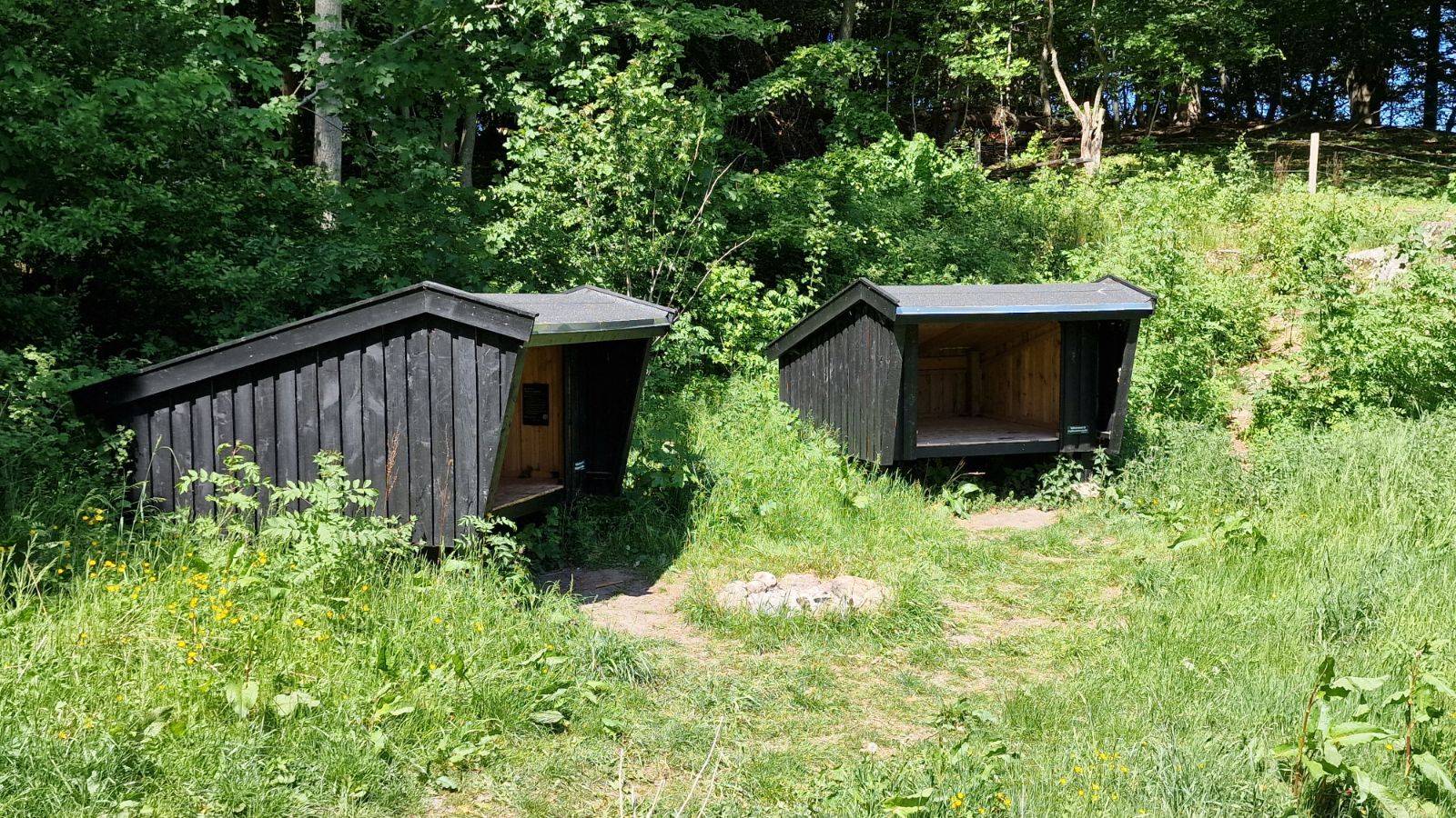 Billede af shelter Engblommen og Firlingen Sheltere 