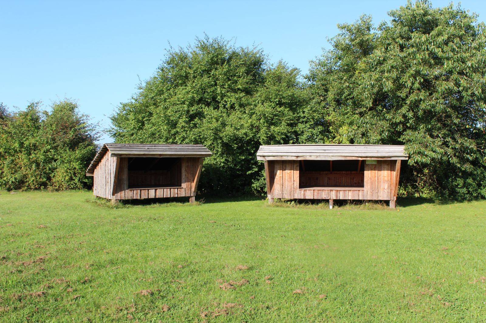 Billede af shelter Møborg shelterplads – billede 2