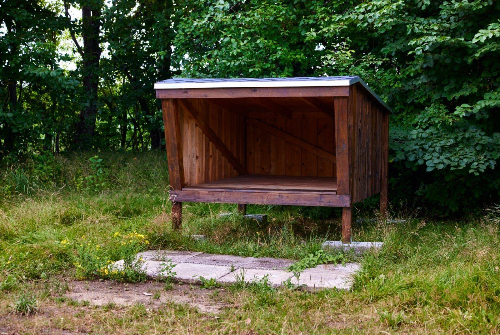 Billede af shelter Shelterplads i Svenstrup Bypark. – billede 5