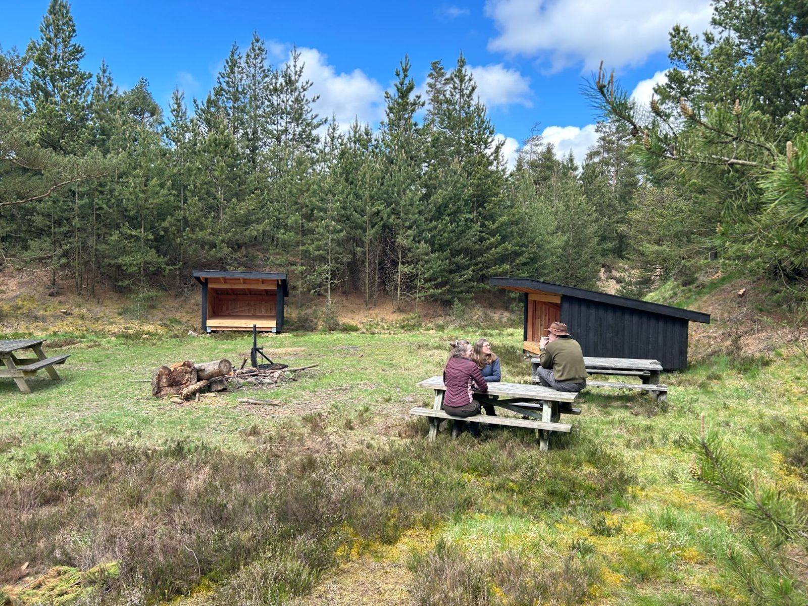 Billede af shelter Den gamle grusgrav, Nørlund Plantage - shelter 1 – billede 2