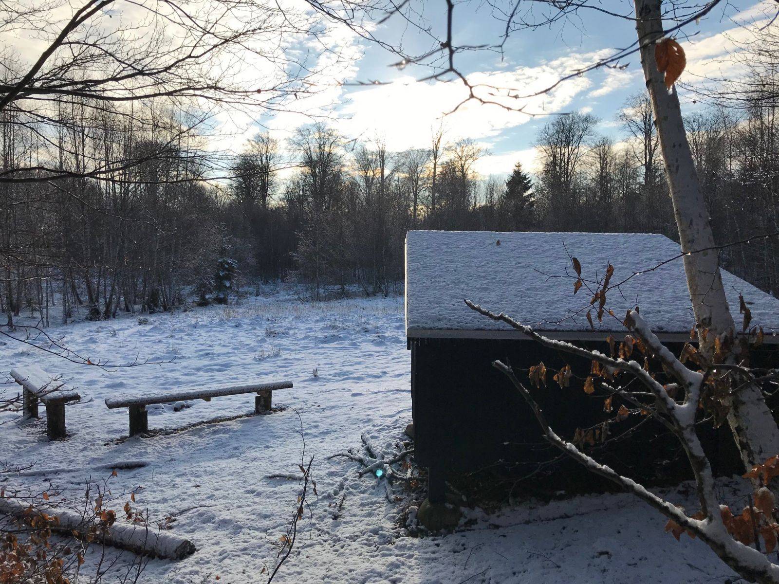 Billede af shelter Dåhjorten