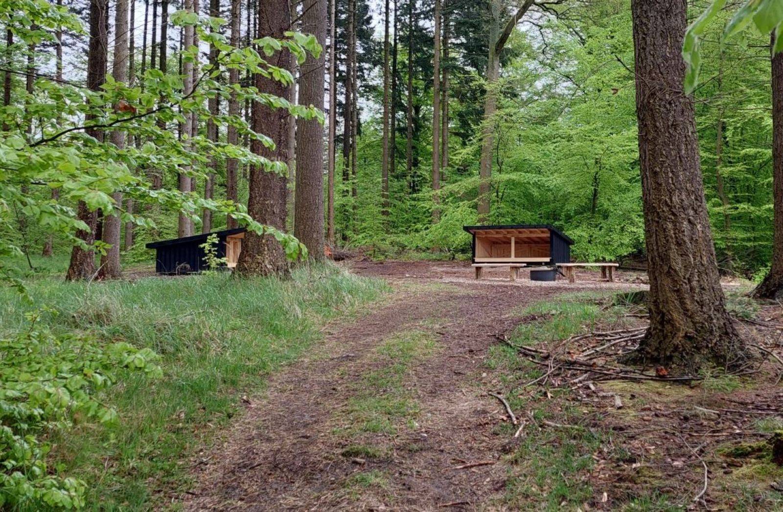 Billede af shelter Ganløse Eged, shelterplads med to shelters – billede 3