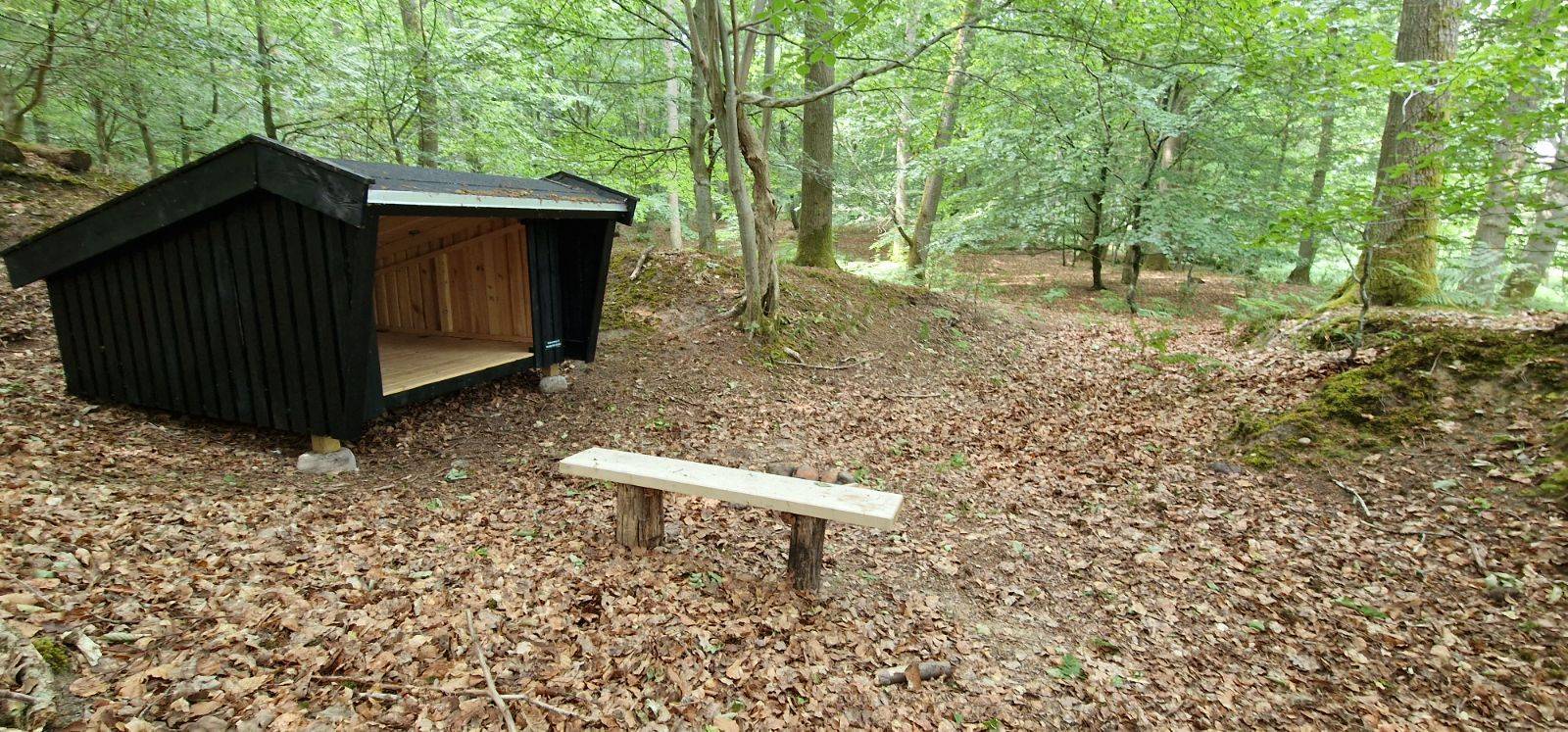 Billede af shelter Vipstjerten shelter
