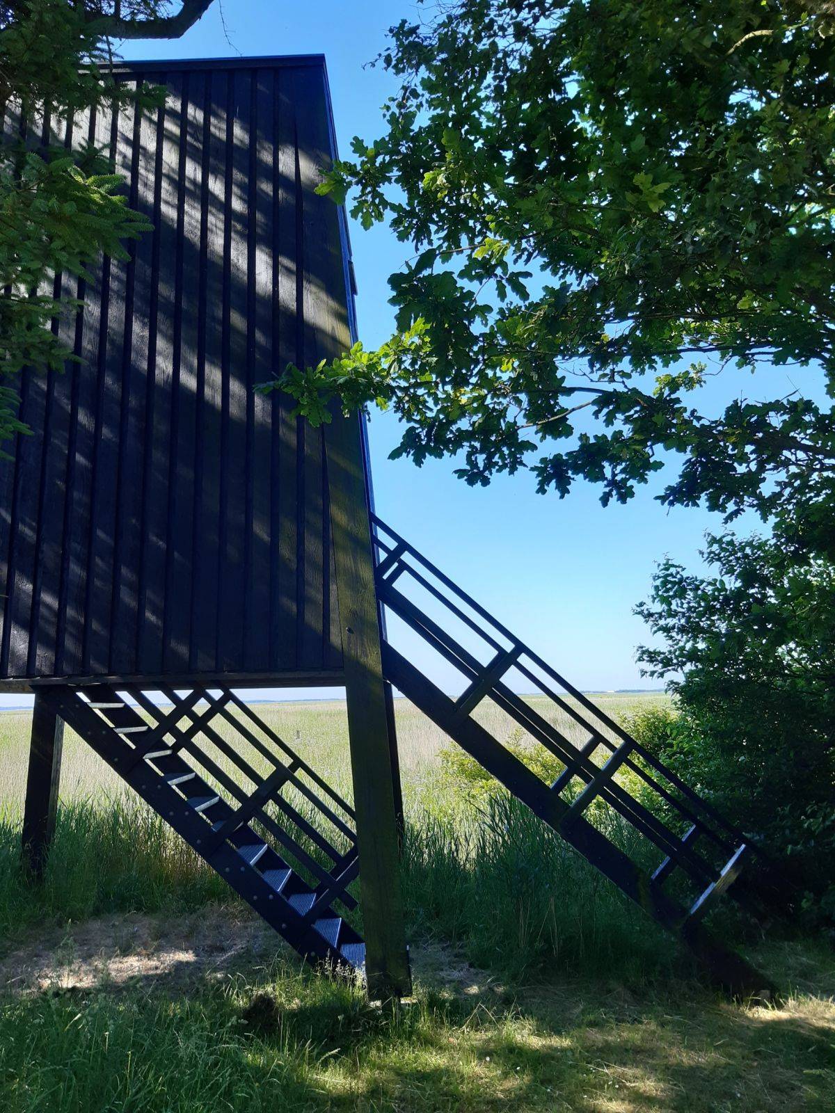 Billede af shelter Gørding fugletårn med shelter