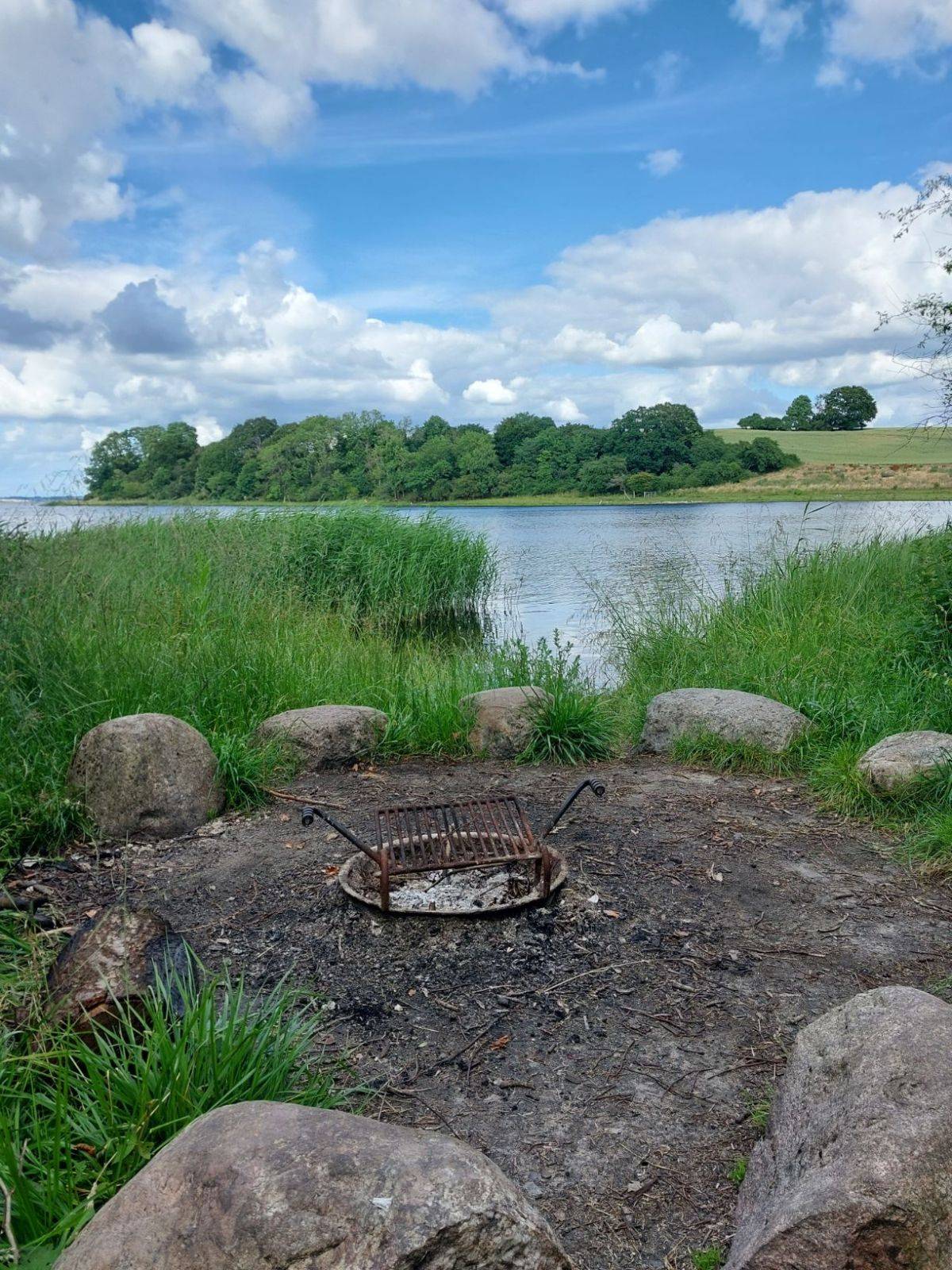 Billede af shelter Kong Roar Shelterpladsen, Boserup Skov – billede 6