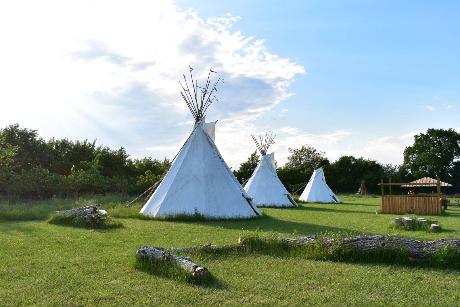 Billede af shelter Tipi og shelters i frugtplantagen
