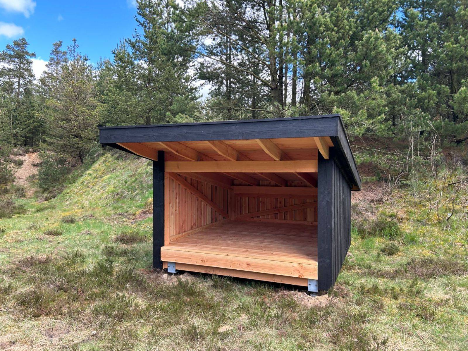 Billede af shelter Den gamle grusgrav, Nørlund Plantage - shelter 1 – billede 3
