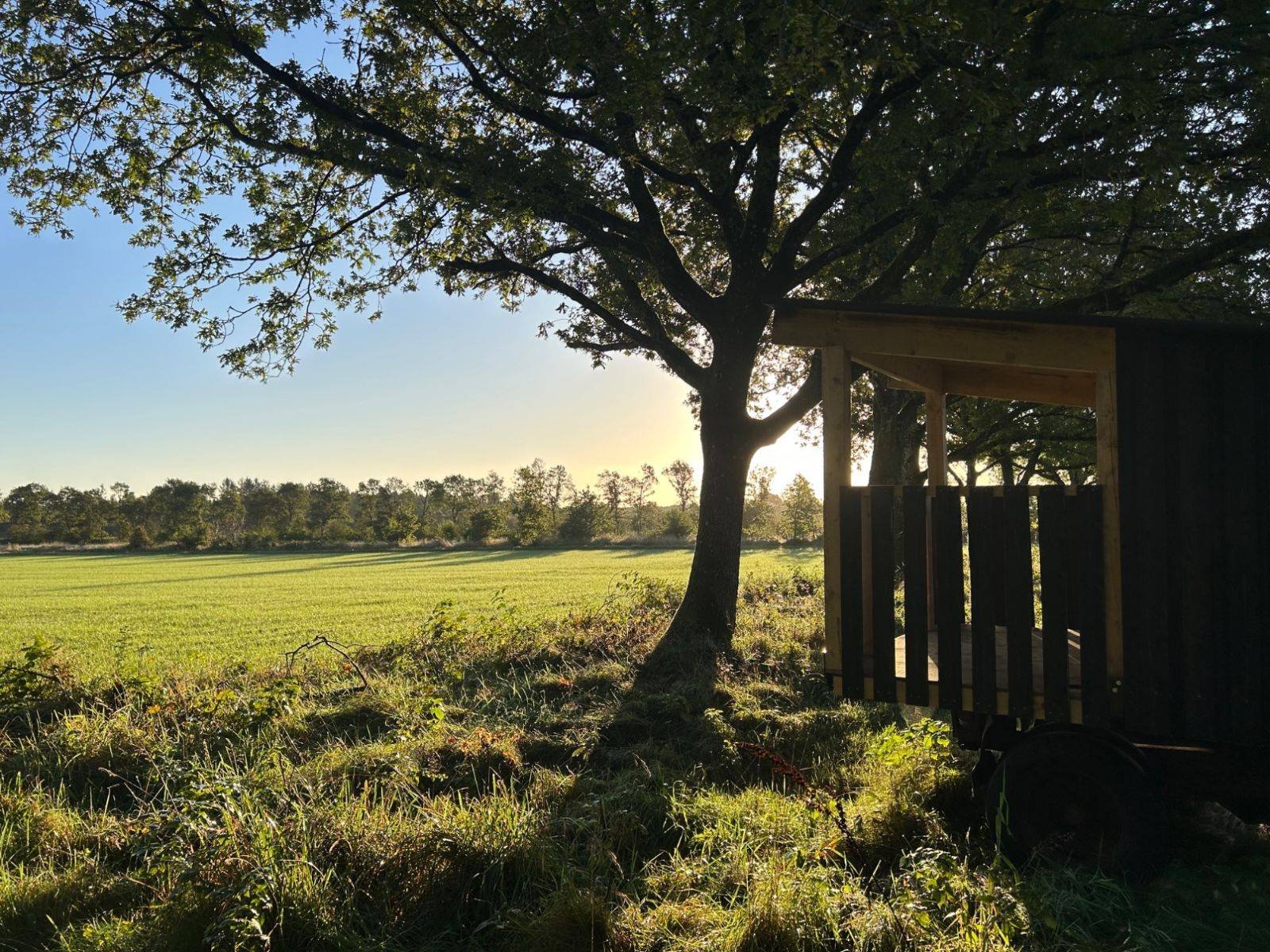 Billede af shelter Vejs Ende Shelter – billede 3