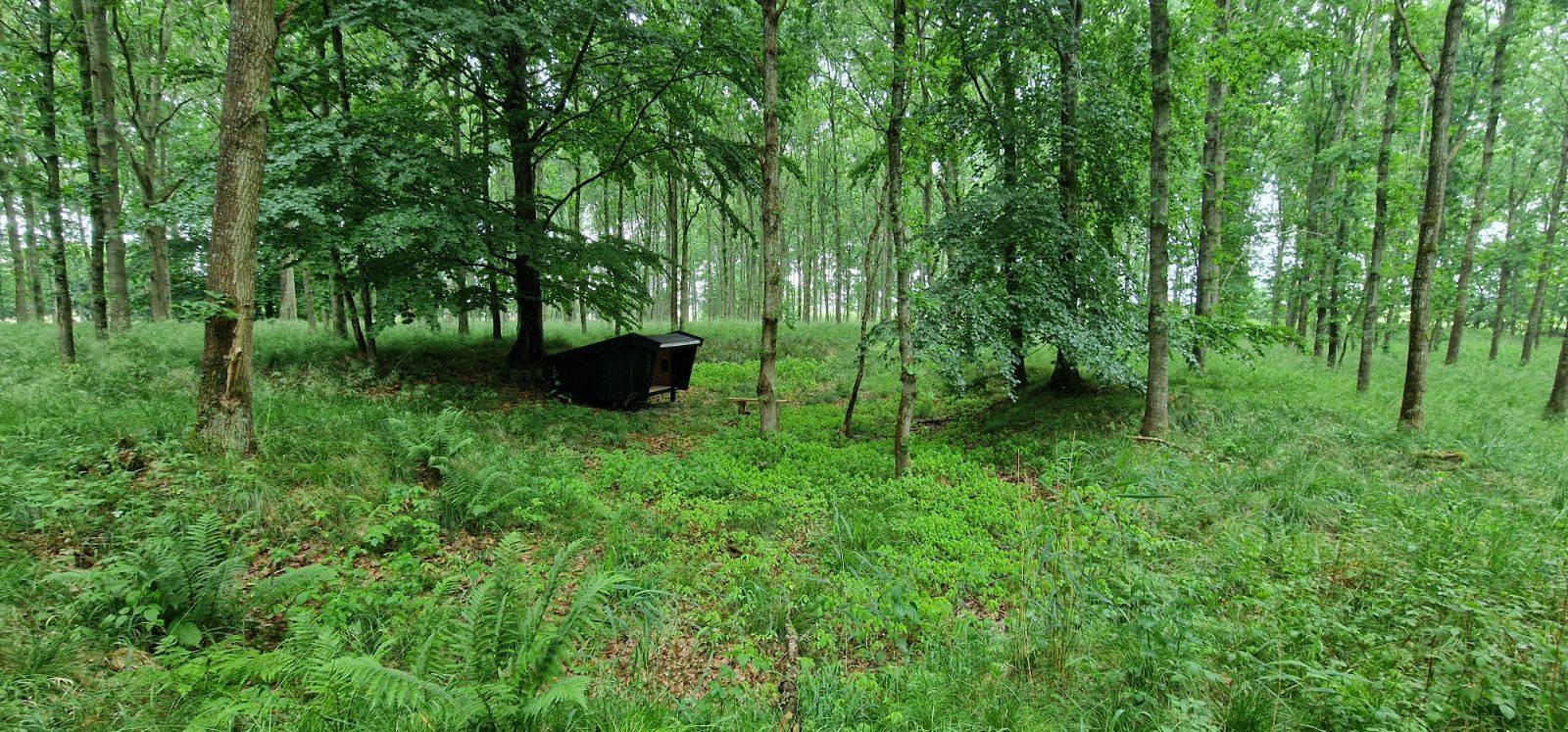 Billede af shelter Vendehalsen shelter – billede 3