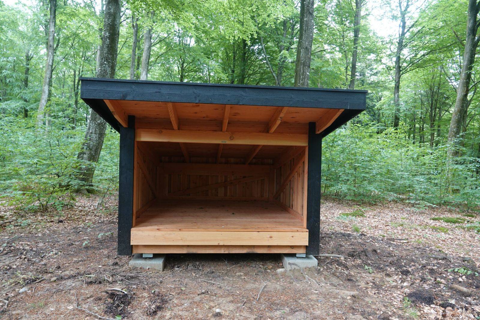 Billede af shelter Shelterplads Vindum Skov - Shelter nr. 2 (ikke bookbar) – billede 4