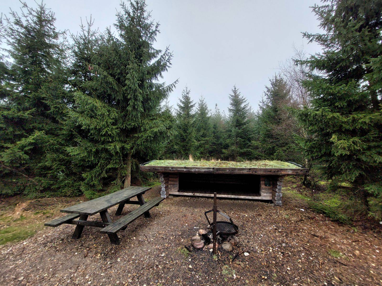Billede af shelter Frederikshåb Plantage Shelter
