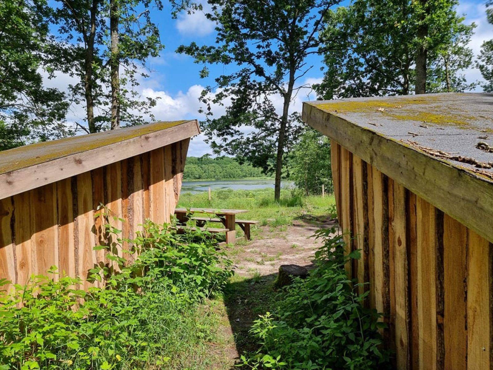 Billede af shelter Hastrup Plantage – shelter 2 – billede 2