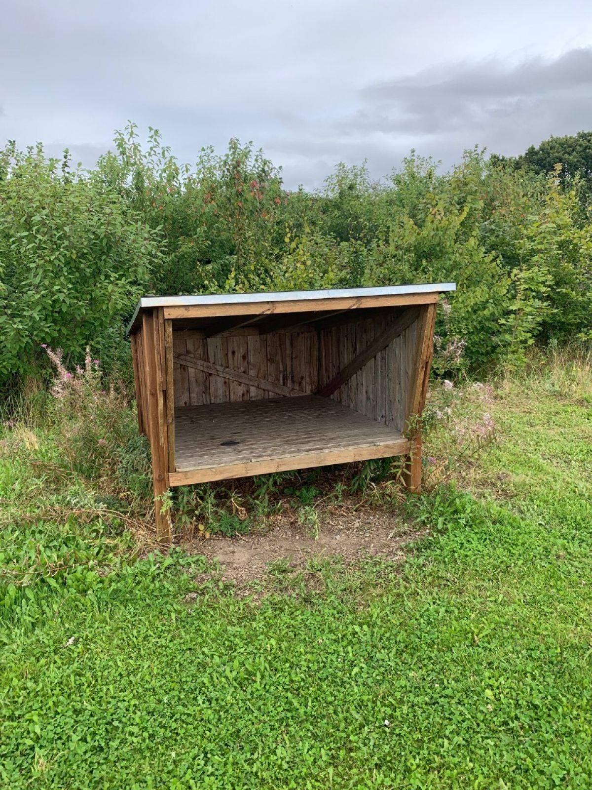 Billede af shelter Hadbjerg Skov Shelterplads – billede 2