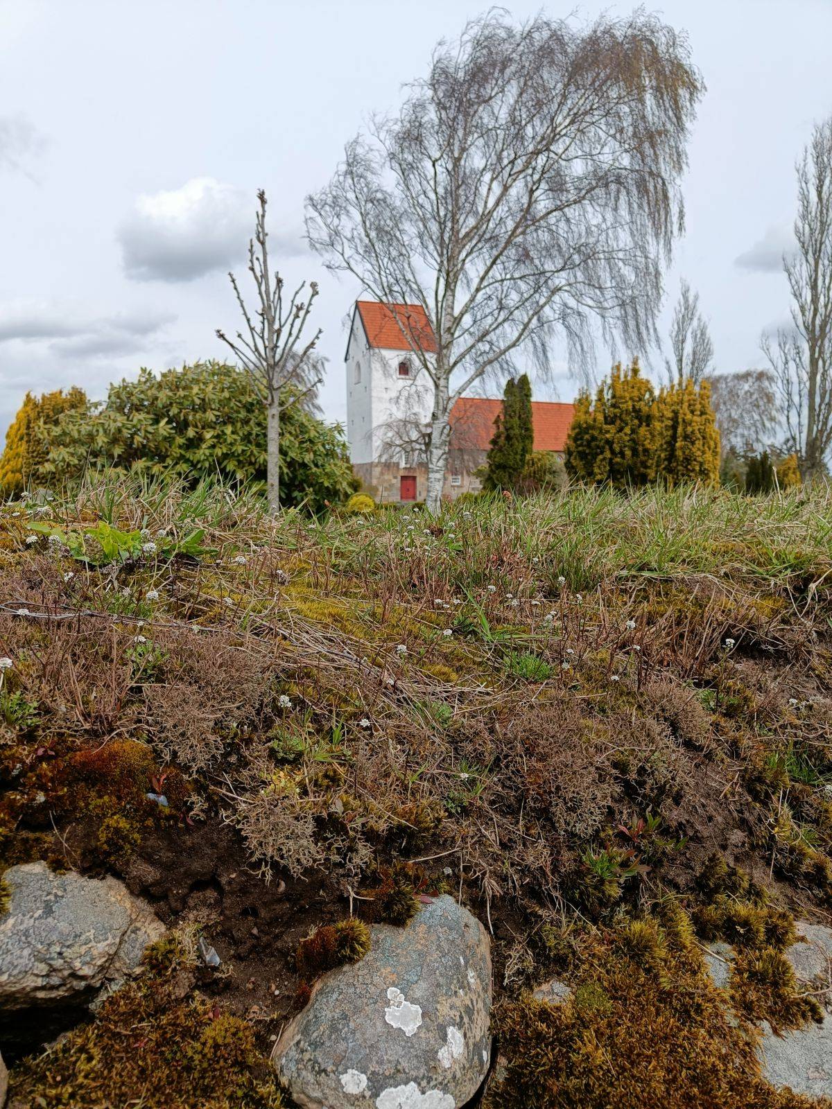 Billede af shelter Shelters på Kirkelunden ved Veggerby Kirke – billede 5