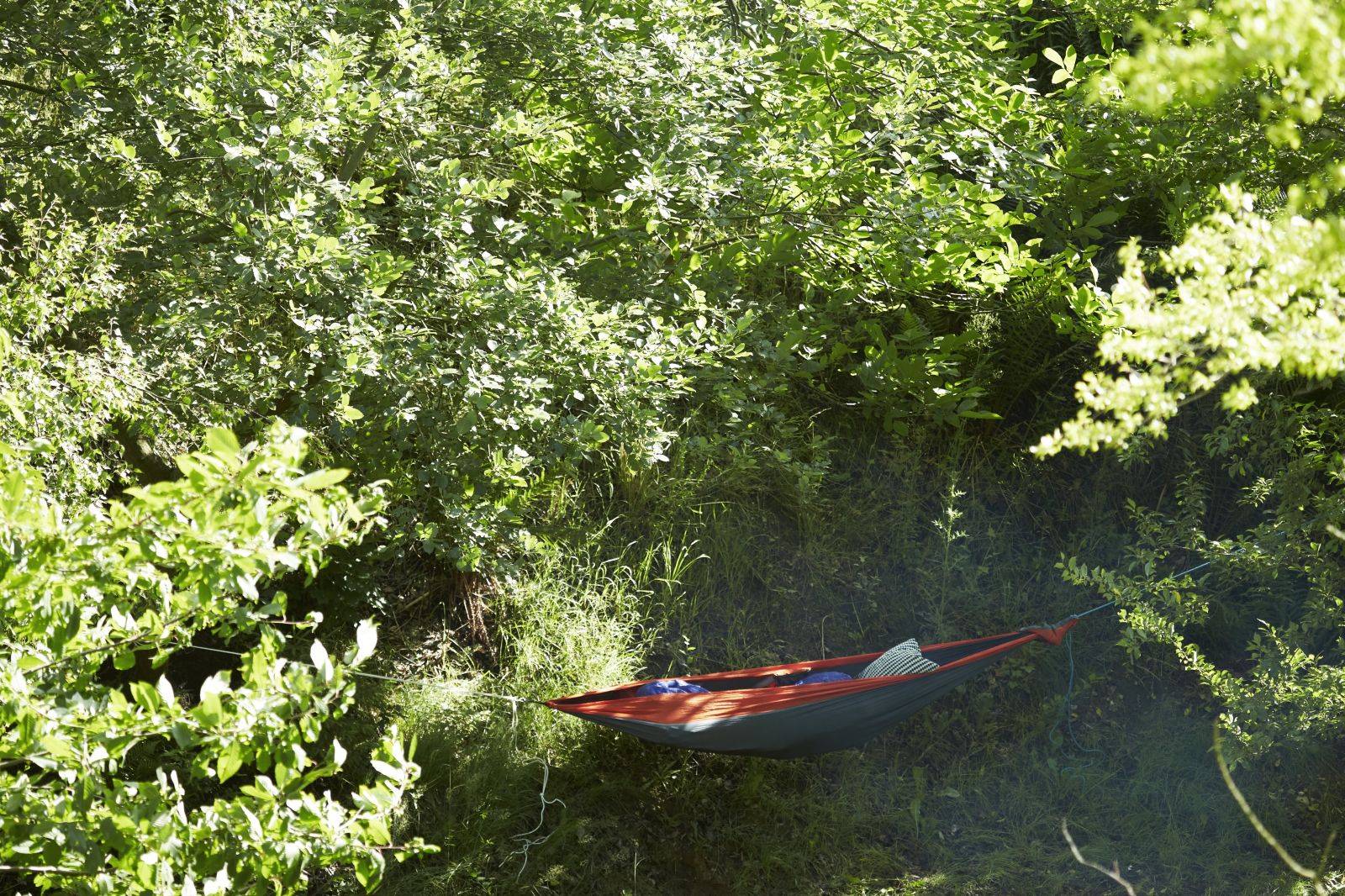 Billede af shelter Haldbjerg Naturcampus – billede 10