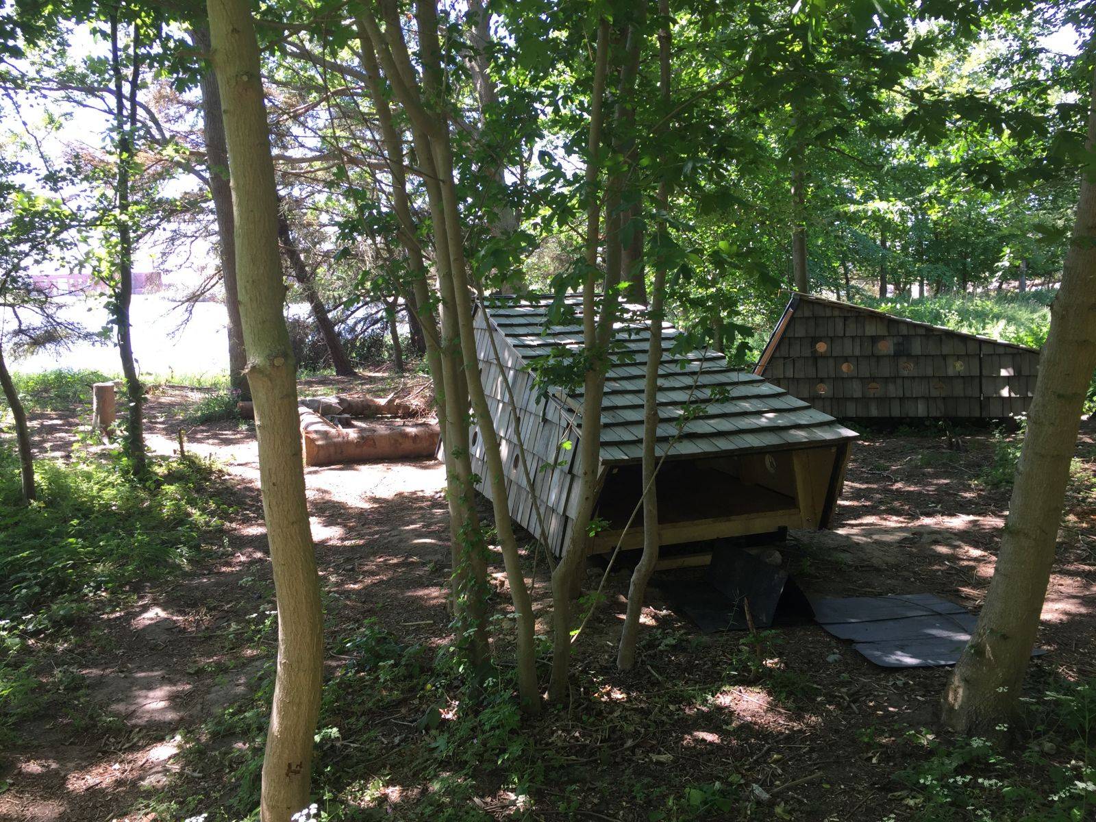 Billede af shelter Plantagen ved Slipshavn
