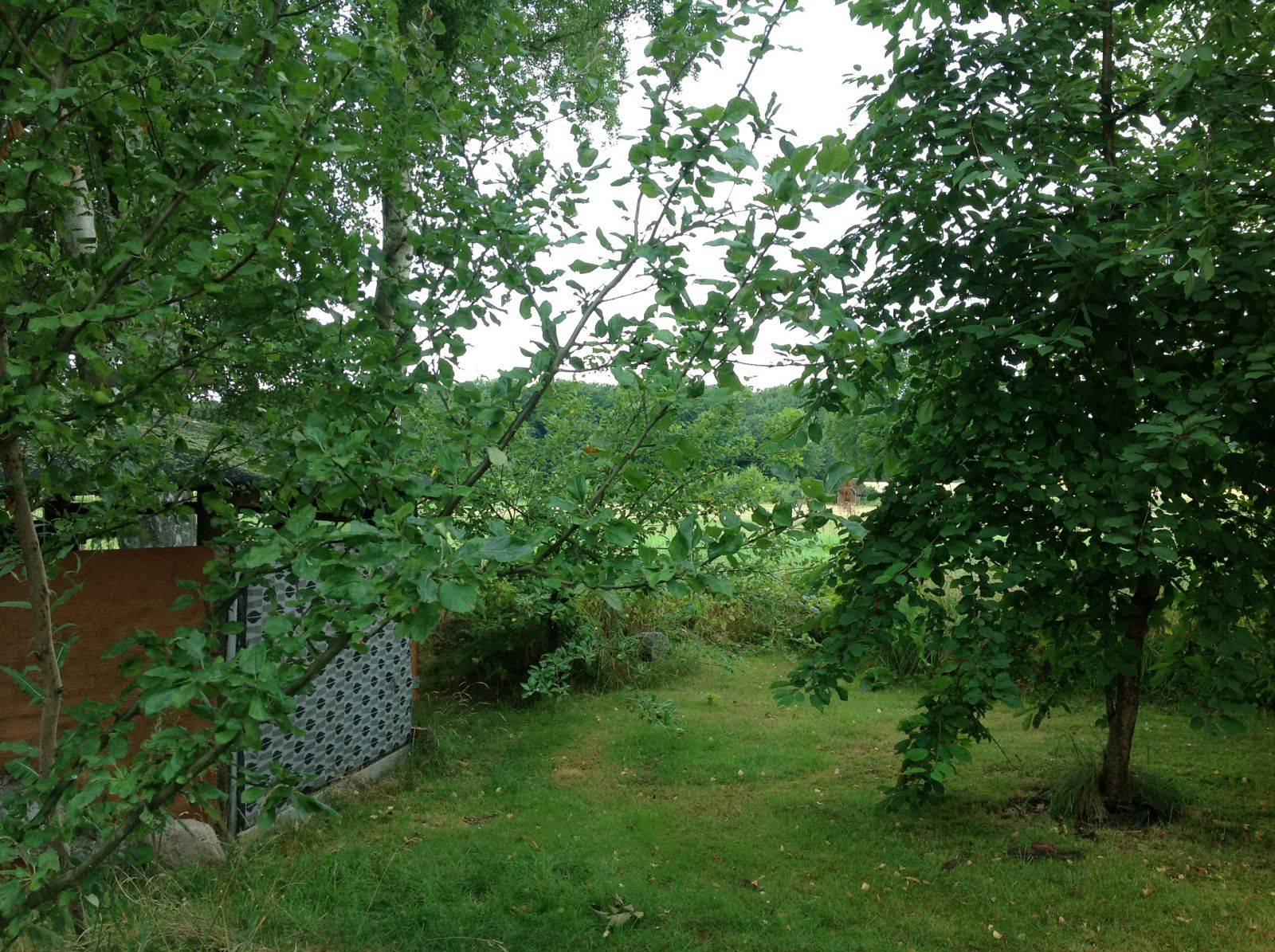 Billede af shelter Niks Malergård – billede 5