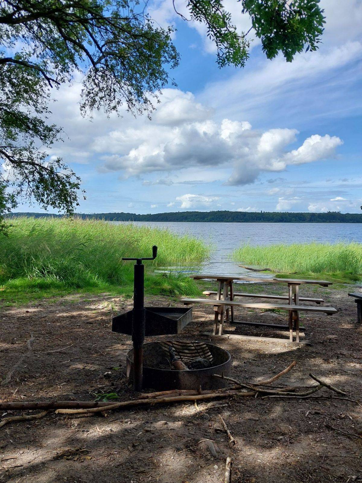 Billede af shelter Skjoldunge shelteret, Boserup skov – billede 4