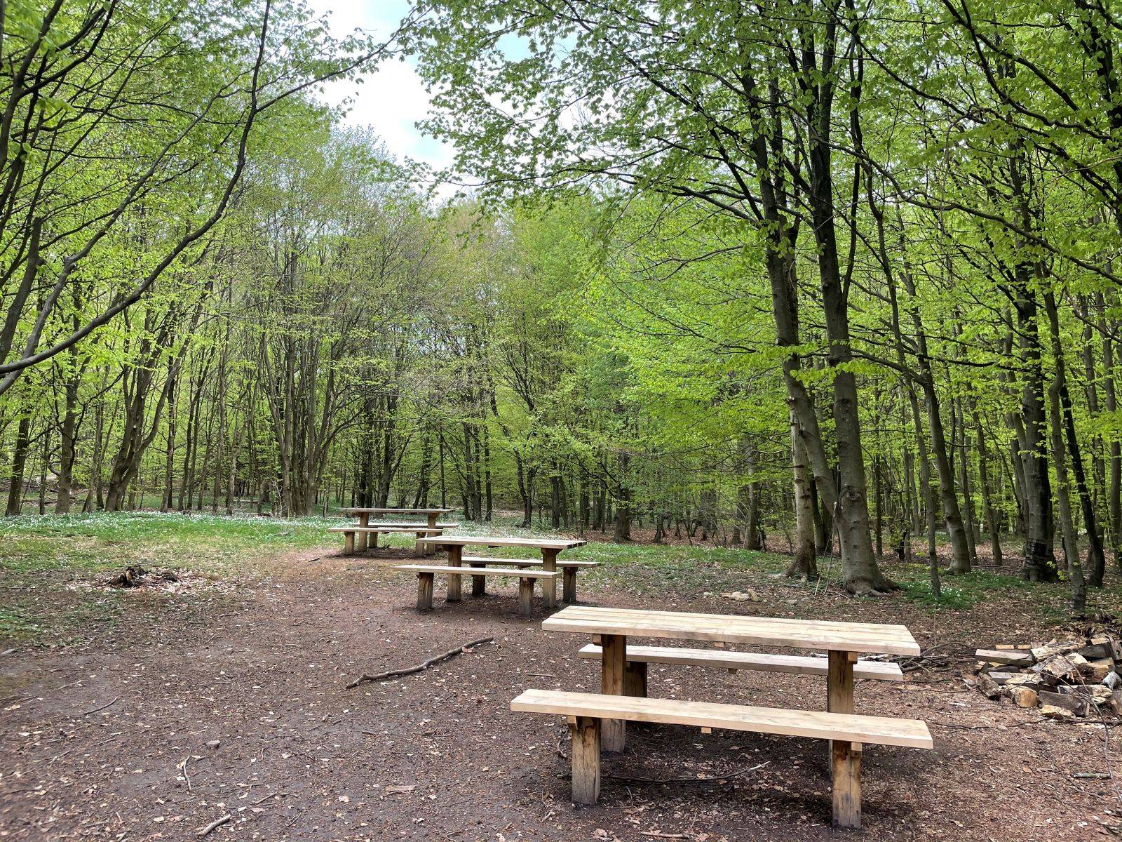 Billede af shelter Horsebo hus                                        – billede 2