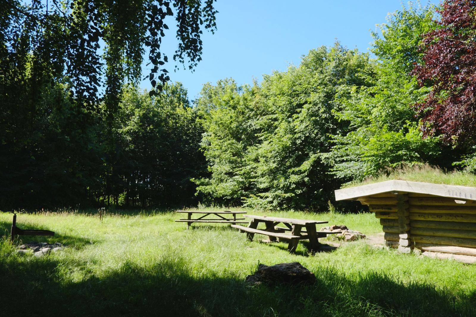 Billede af shelter Sebberup Skov Shelter – billede 4