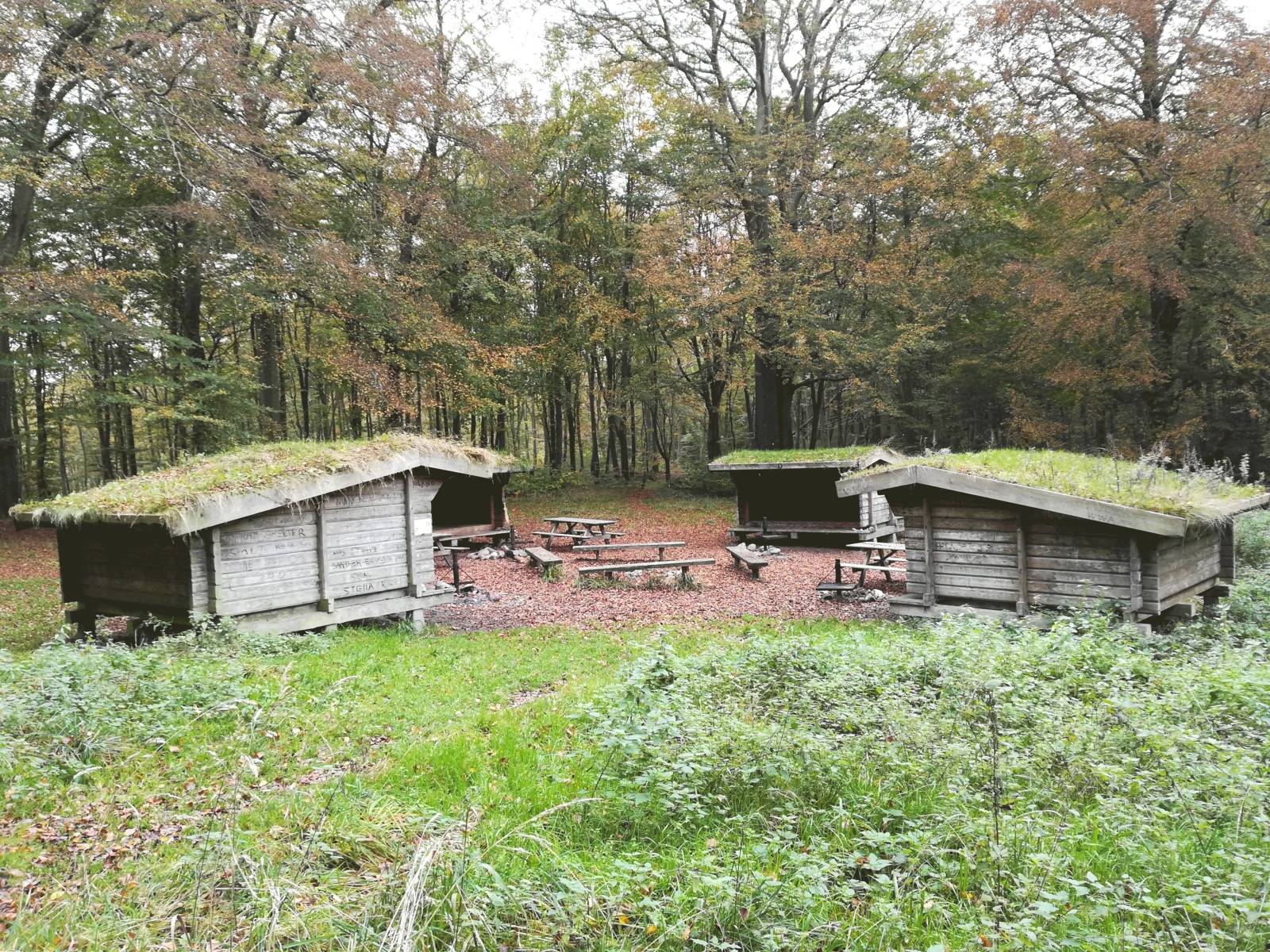 Billede af shelter Møns Klint Shelter - 3