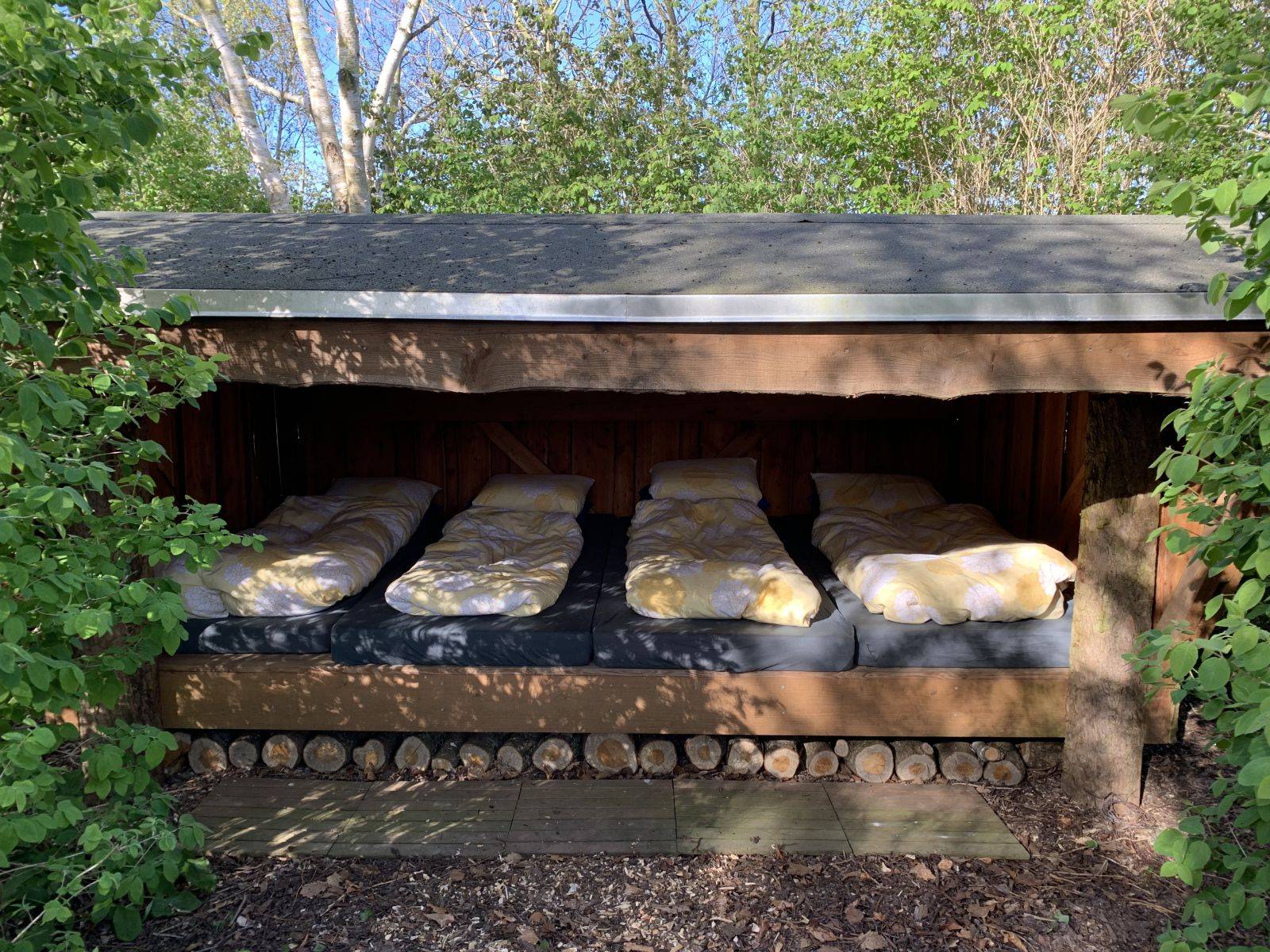 Billede af shelter Mejerivej 3, Gredsted – billede 3