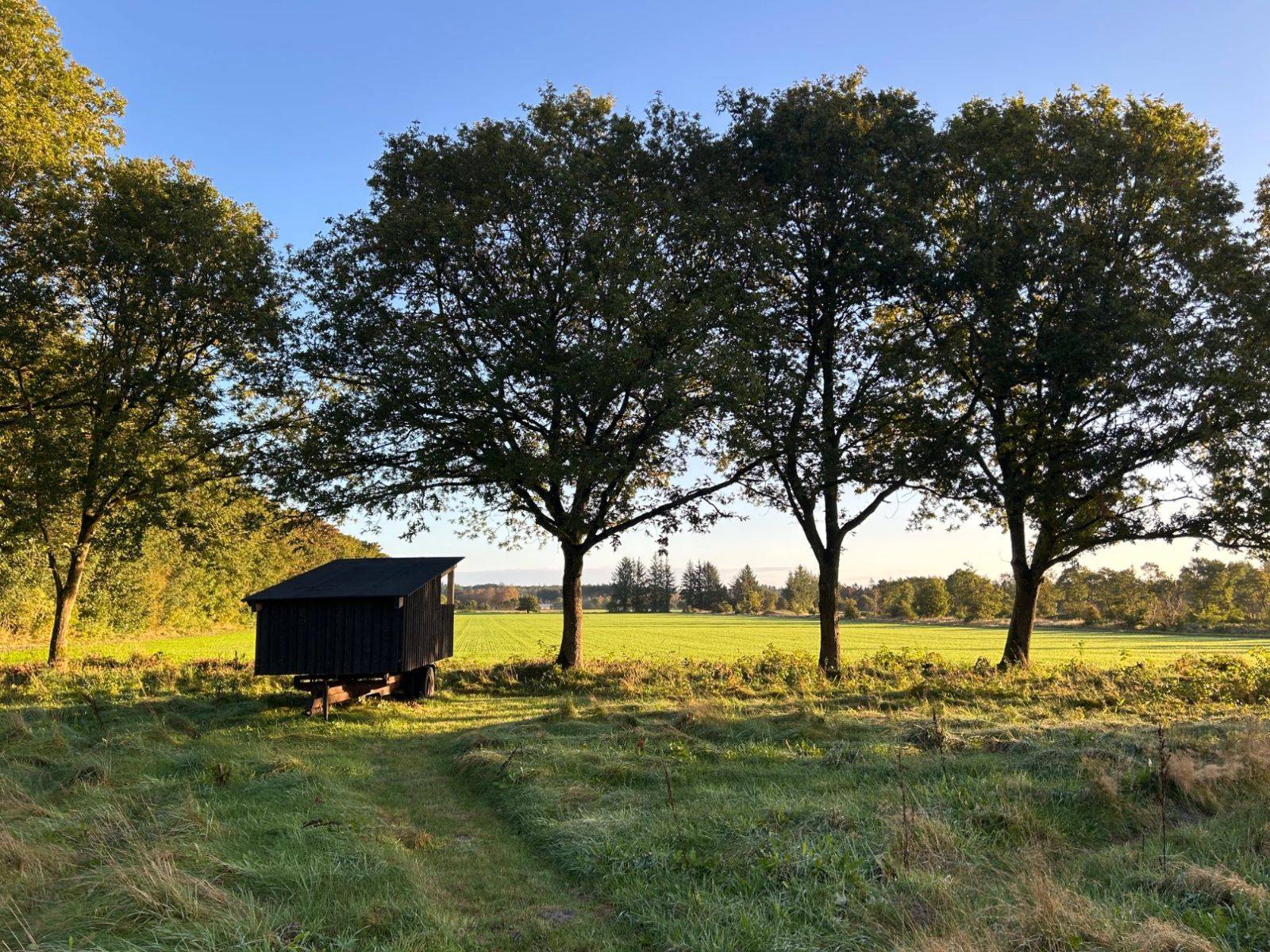 Billede af shelter Vejs Ende Shelter – billede 4