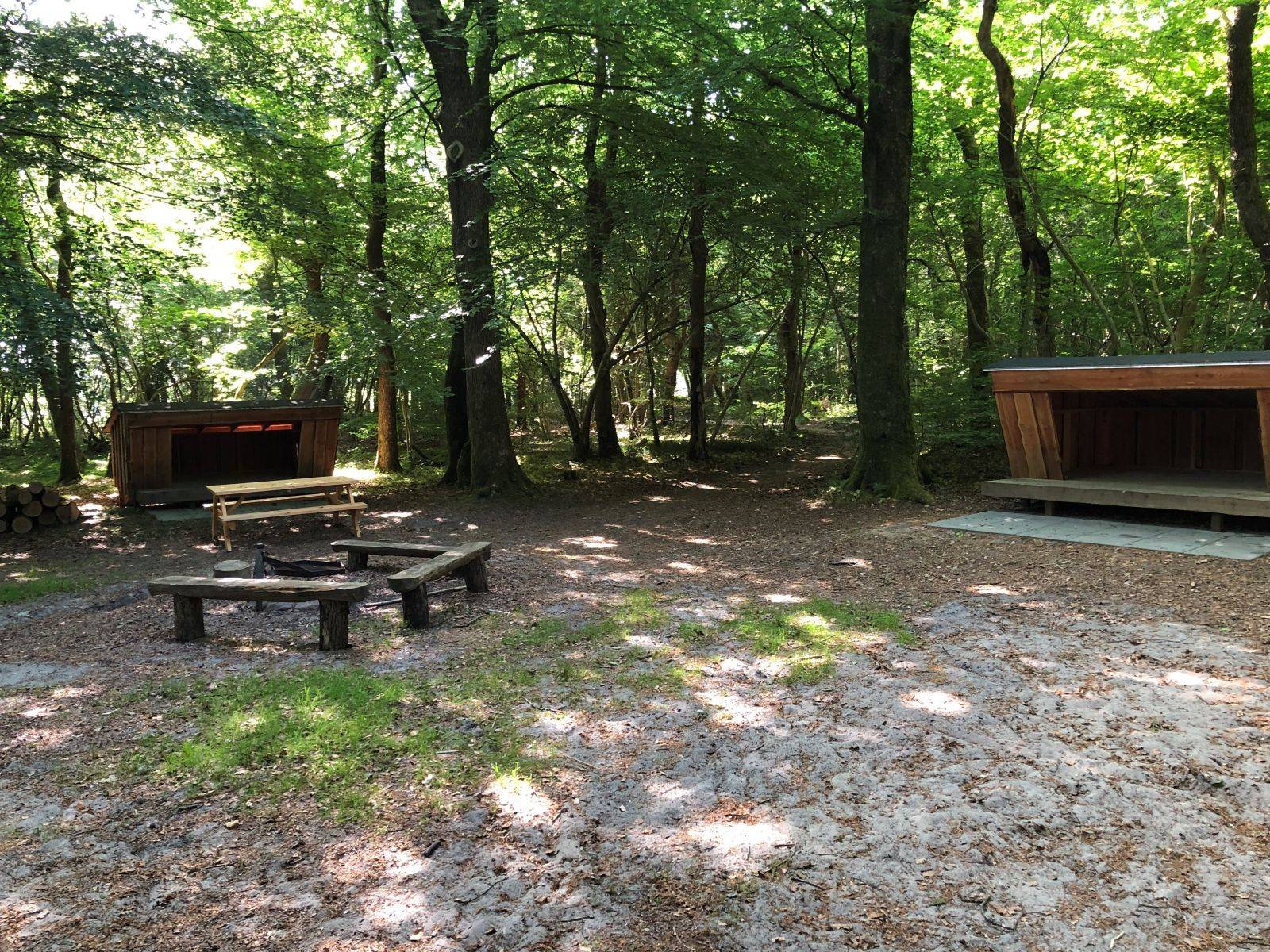 Billede af shelter Under Bøgen 2