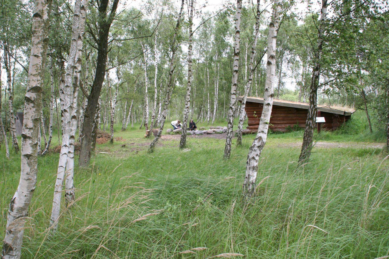 Billede af shelter Kalvebod Fælled, Pinseskoven, Ålen shelter