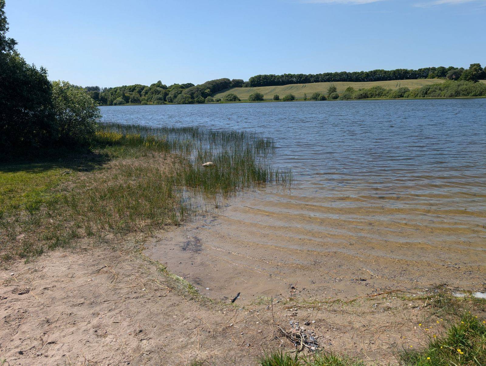 Billede af shelter Lejrplads ved Hornum Sø – billede 4