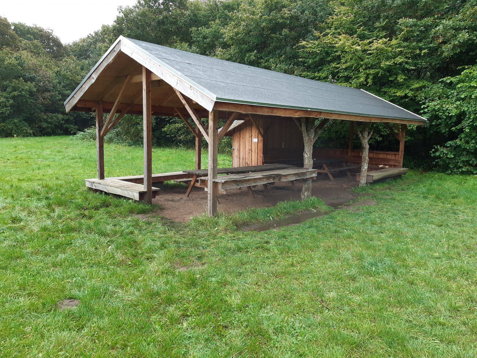 Billede af shelter Shelterpladsen ved Hald                               – billede 3