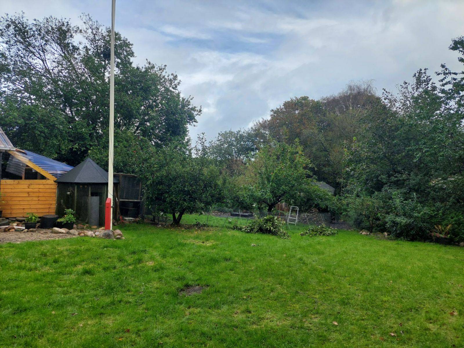 Billede af shelter Hankelbjergs shelter og bålhytte – billede 7
