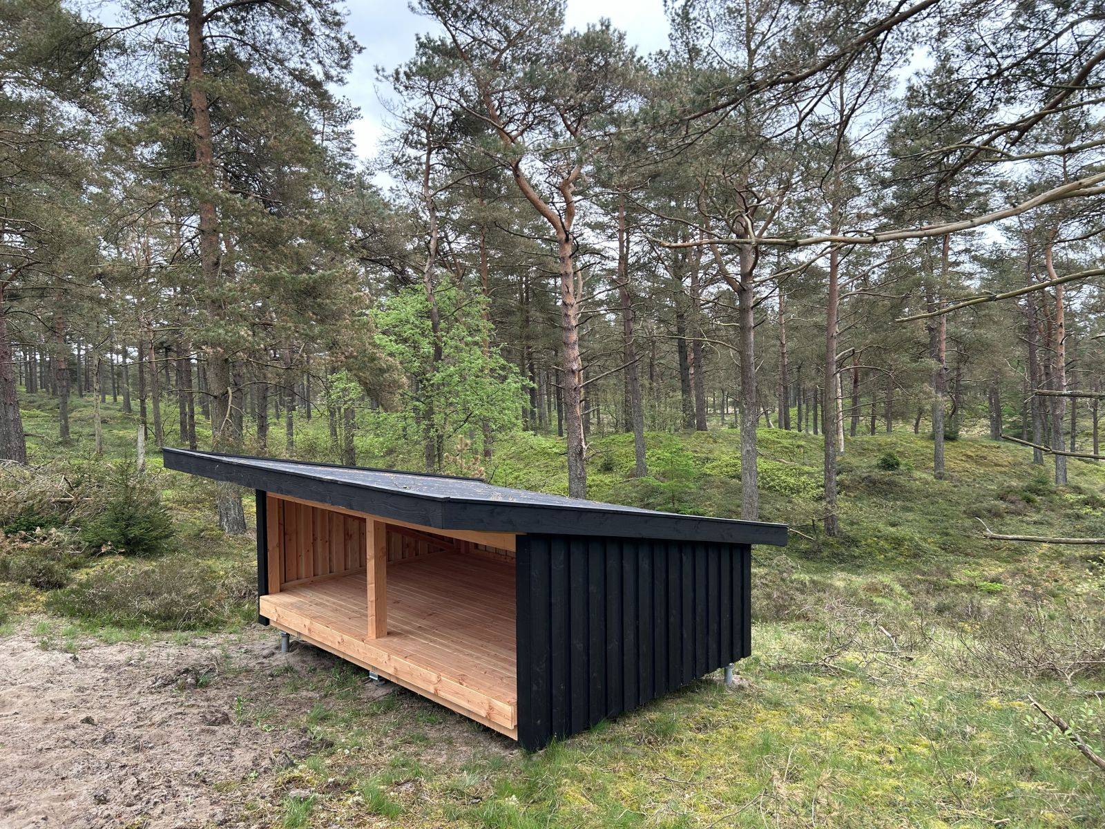 Billede af shelter Gludsted Plantage, Den Skæve Bane - shelter 2