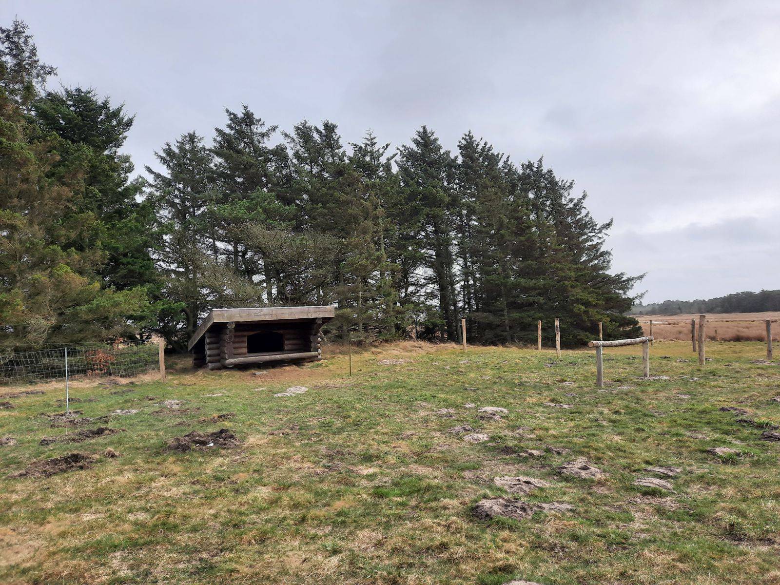 Billede af shelter Krægpøt – billede 3