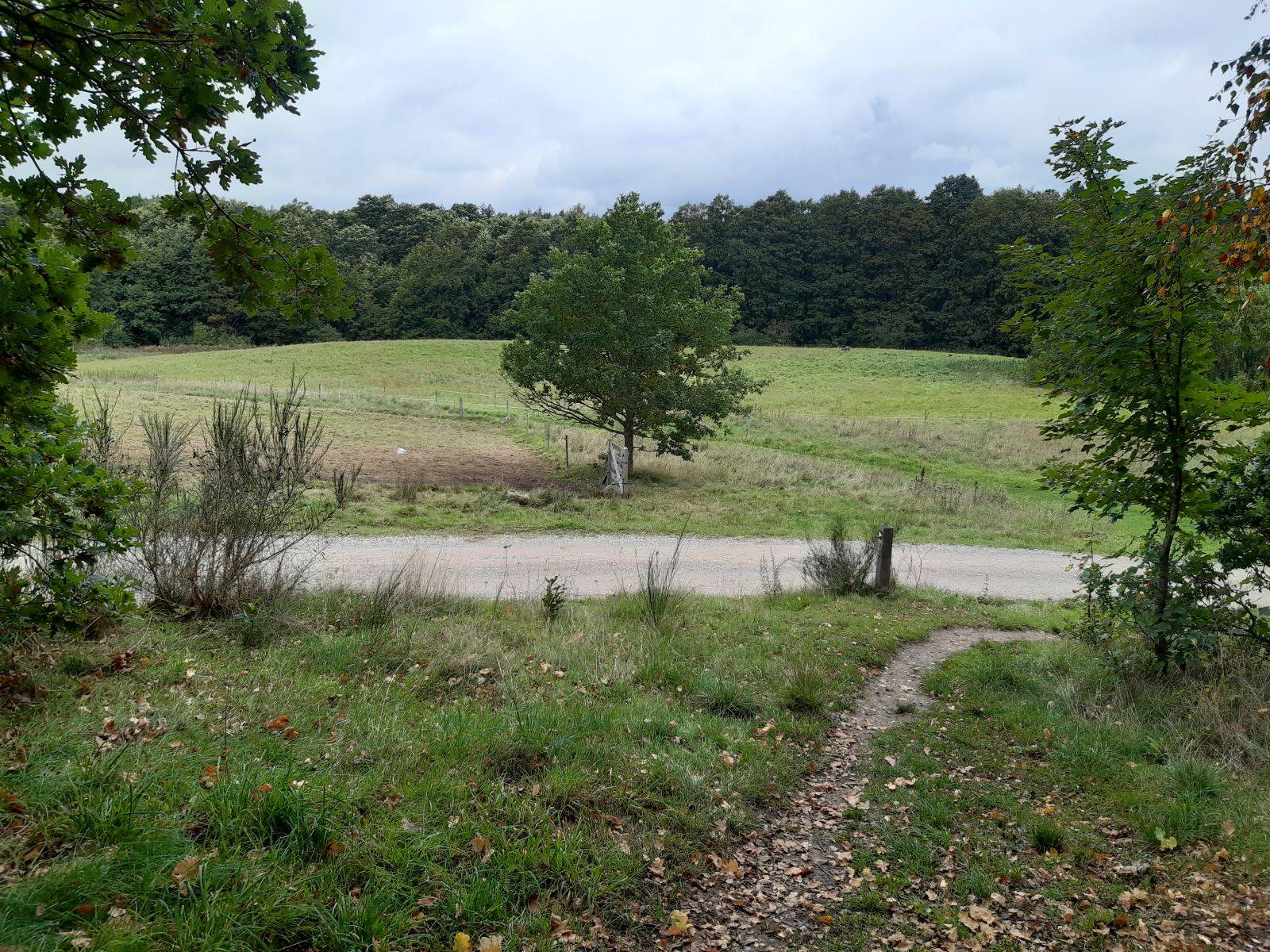 Billede af shelter Lejrplads Ørnbjerg Mølle   - shelter nr. 1 (bookbar)                  – billede 7