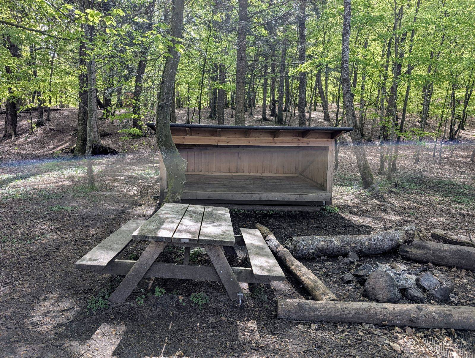 Billede af shelter Shelters ved Julsø – billede 7