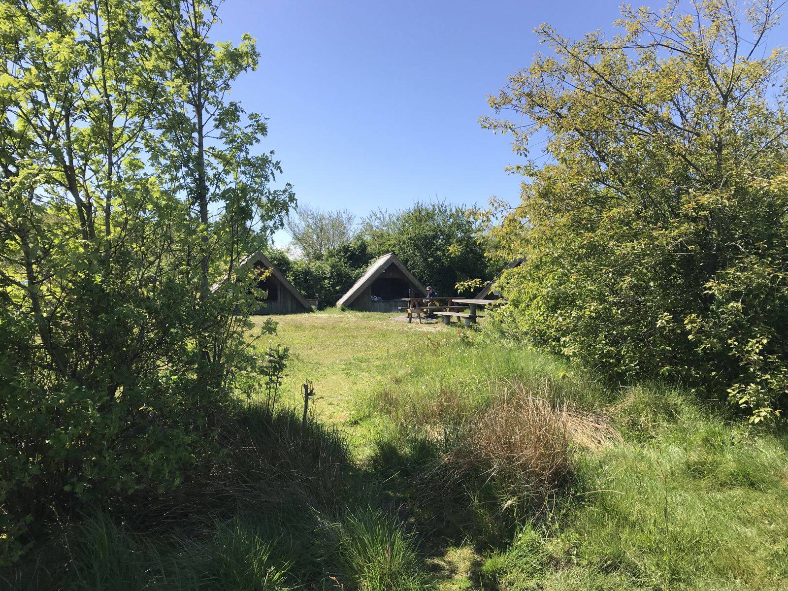 Billede af shelter Shelter 2 Stauning Havn – billede 2