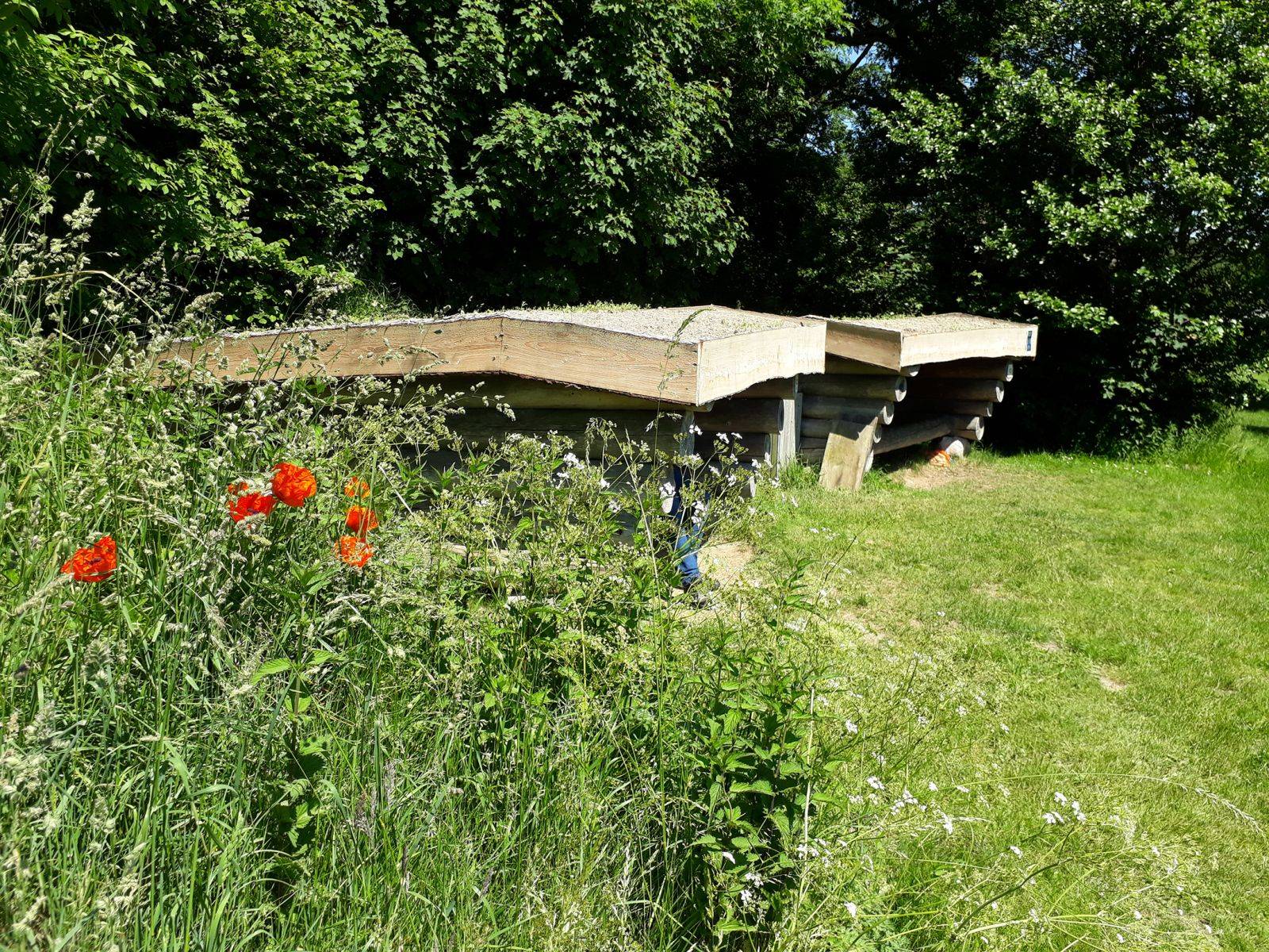 Billede af shelter Nybro kanoplads – billede 5