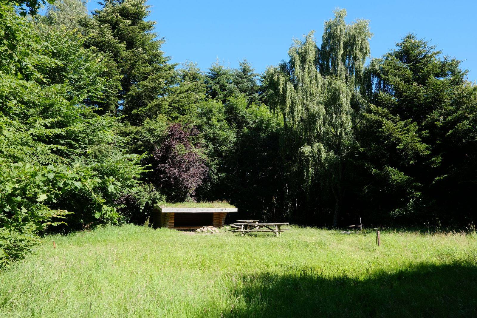 Billede af shelter Sebberup Skov Shelter – billede 3