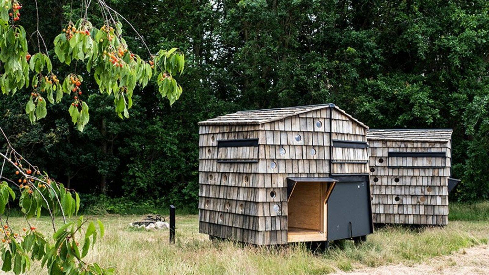Billede af shelter Grønnehave
