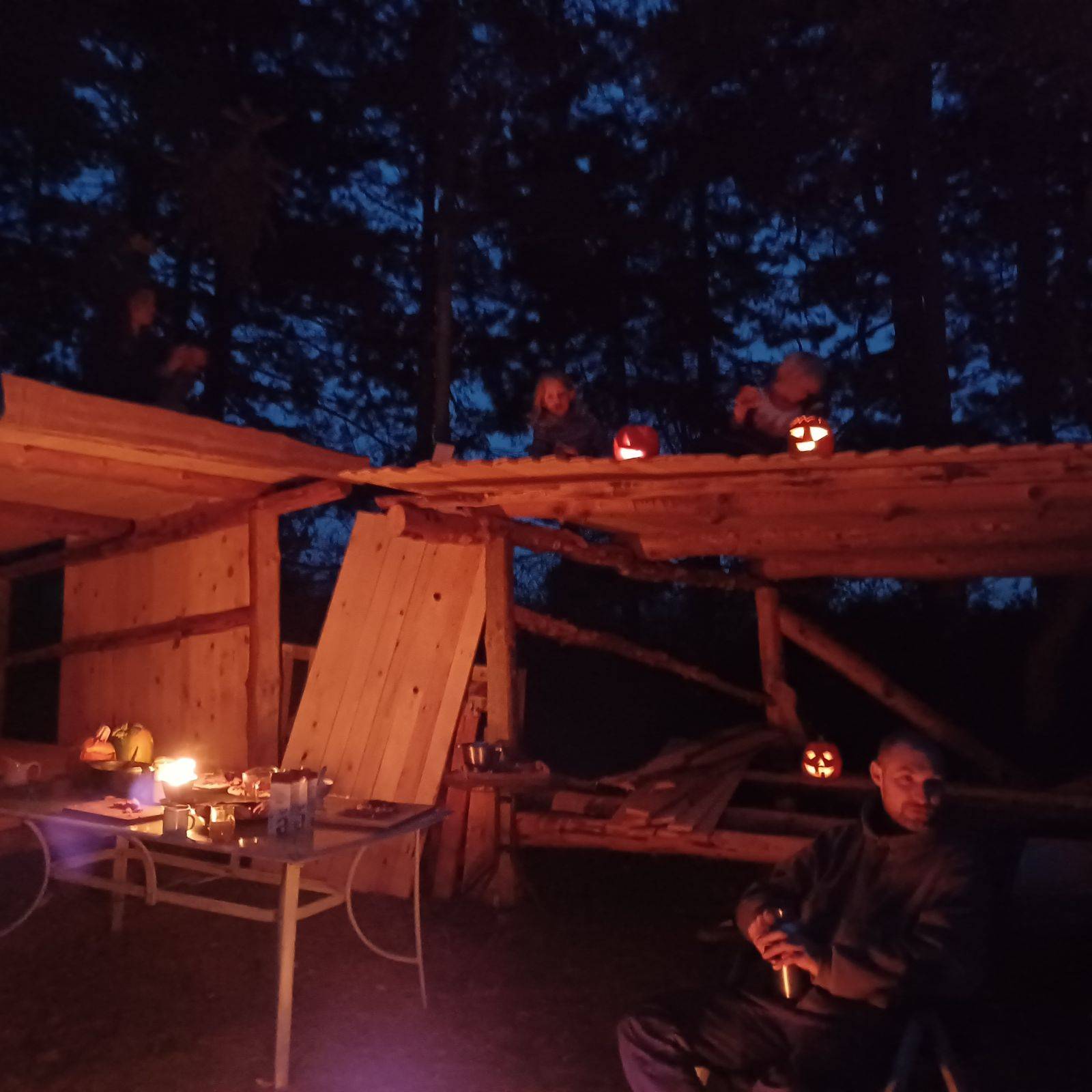 Billede af shelter Viskinge Eventyrlige Skovhaver