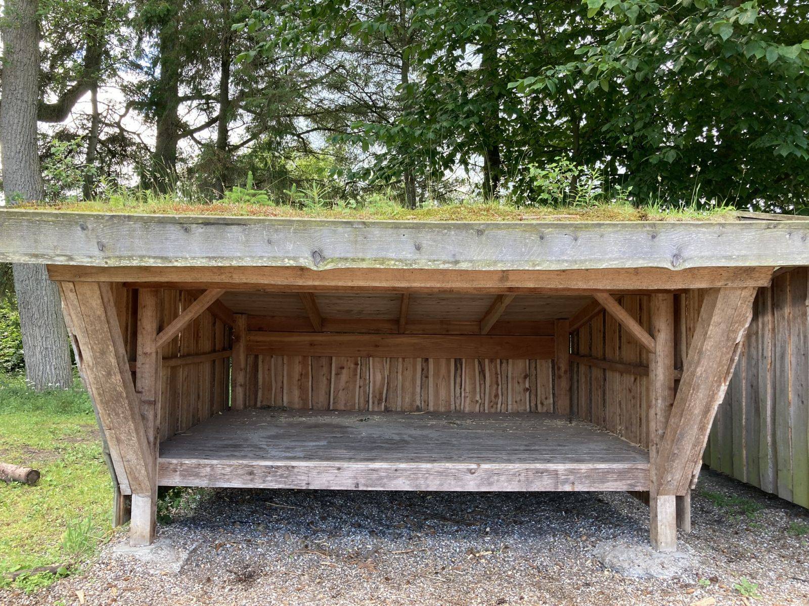 Billede af shelter Tranum Skole – billede 2