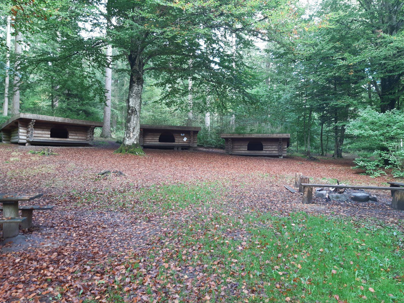 Billede af shelter Shelterpladsen ved Jægerhytten                        – billede 2
