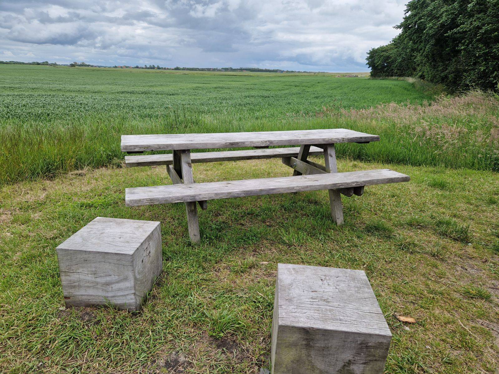 Billede af shelter Marskshelters i Emmerlev – billede 12